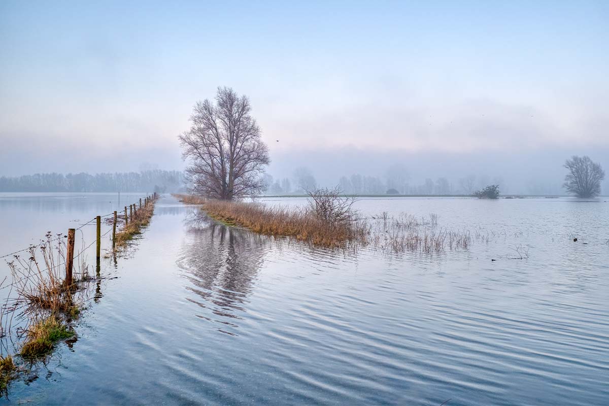 rabobank-landschap-3
