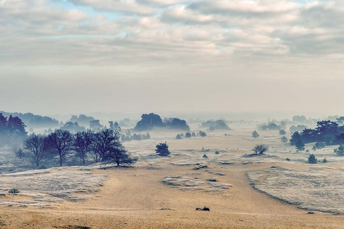 rabobank-landschap-5